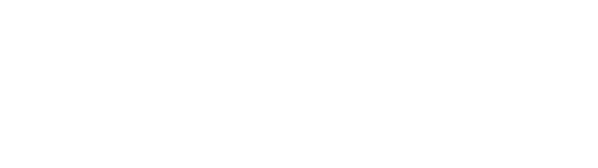 EffiNova